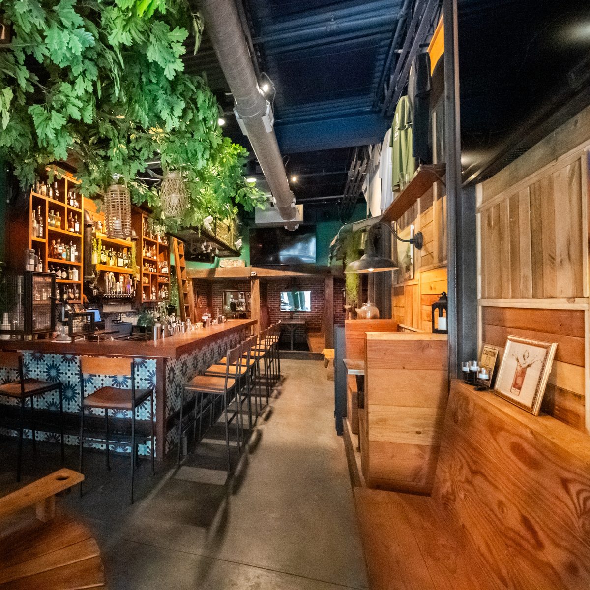 Treehouse Bar